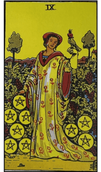 Nine of Pentacles - Rider Waite