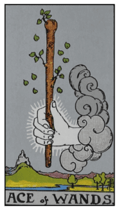 Ace of Wands - Rider Waite